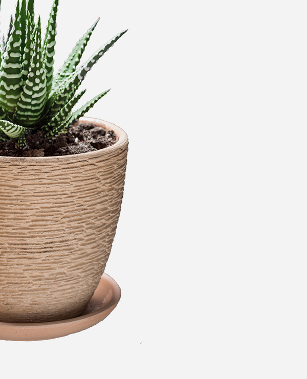 Concrete pot - Image 3