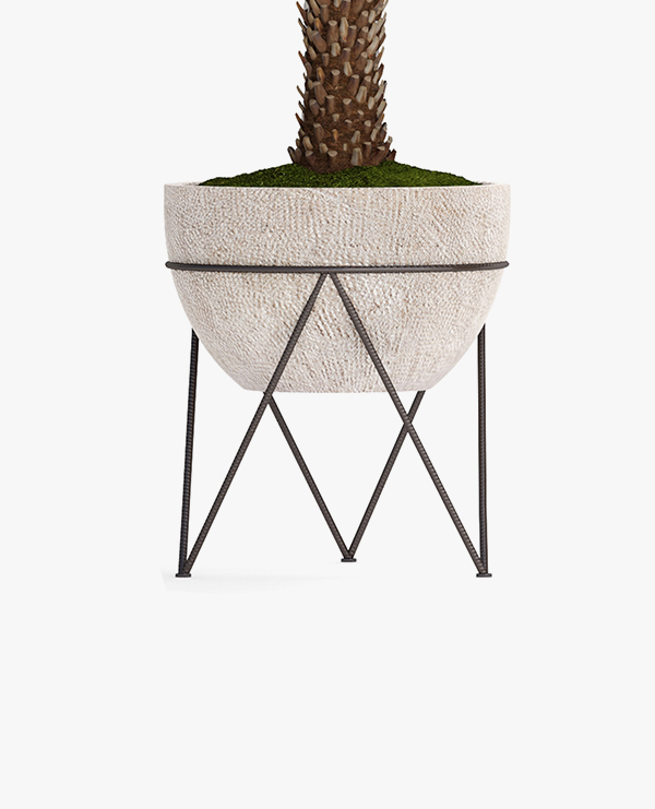 Decorative palm - Image 3